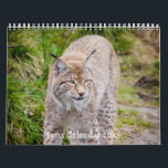 The Lynx Wildlife Calendar<br><div class="desc">Make every day extraordinary with The Lynx Calendar and let the wild spirit of these magnificent creatures uplift your spirit. Order your calendar now and let the Lynx be your guide to a year filled with wonder and exploration!</div>