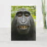 The Macaque Monkey Valentine Card