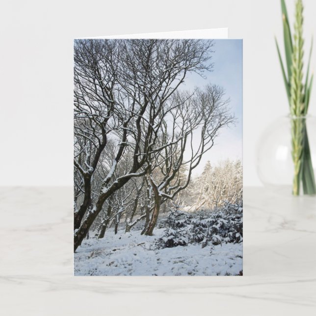 The Macclesfield Forest Winter Card (Front)