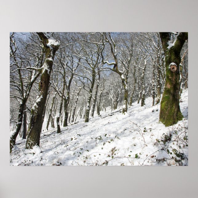 The Macclesfield Forest winter Card Canvas Print (Front)