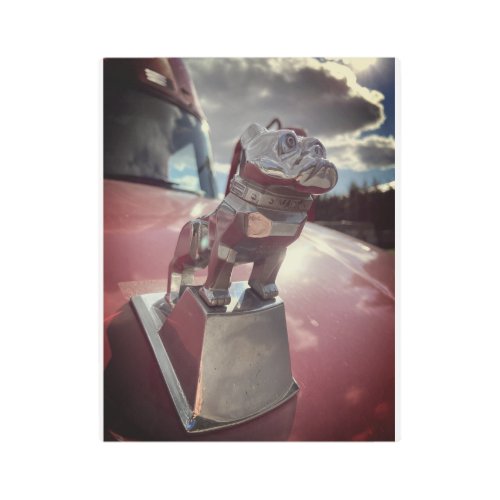 The Mack Dog Metal Print