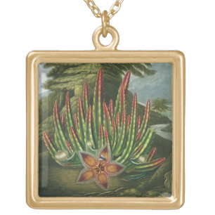 The Maggot-Bearing Stapelia, engraved by Stadler, Gold Plated Necklace