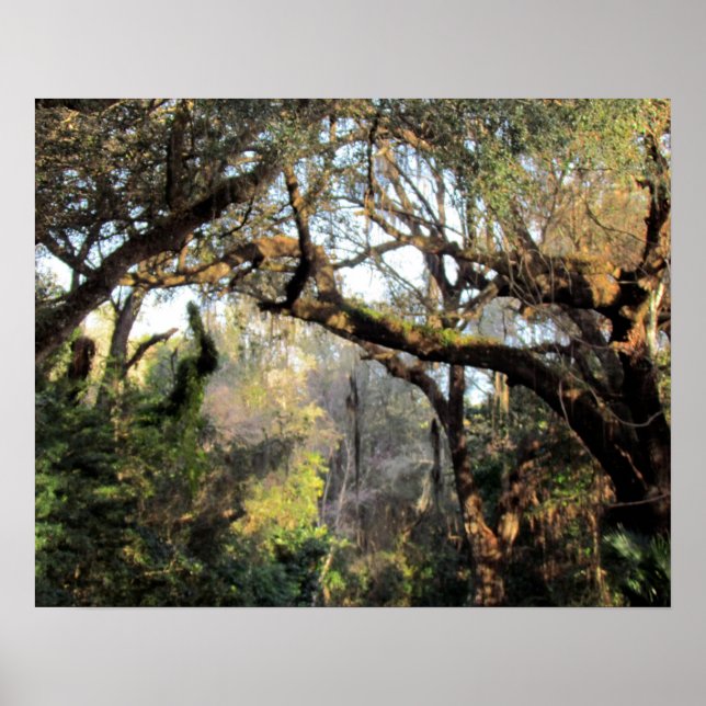 The Magic Forrest Poster (Front)