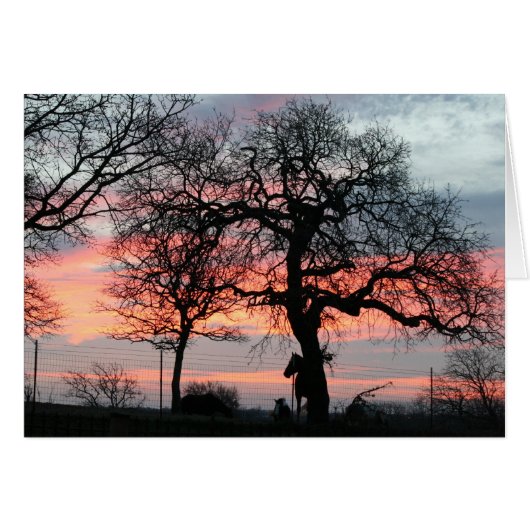 The Magic Sky Cards (Front Horizontal)