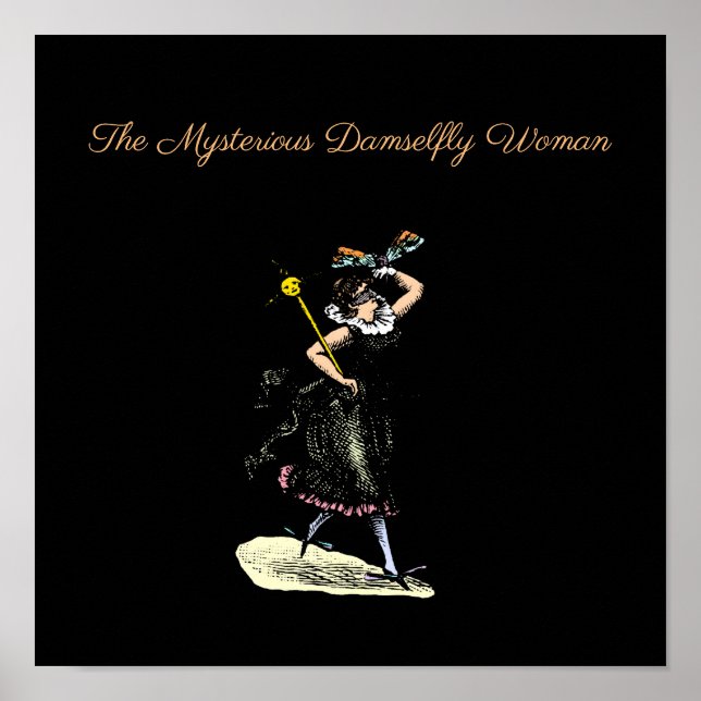 The magical damselfly woman poster (Front)