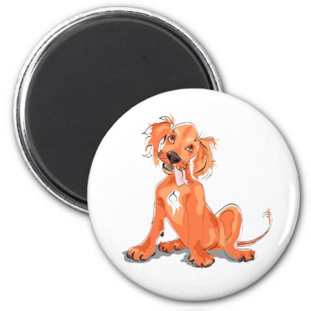 The Magnet With Cute Red Setter Puppy Picture