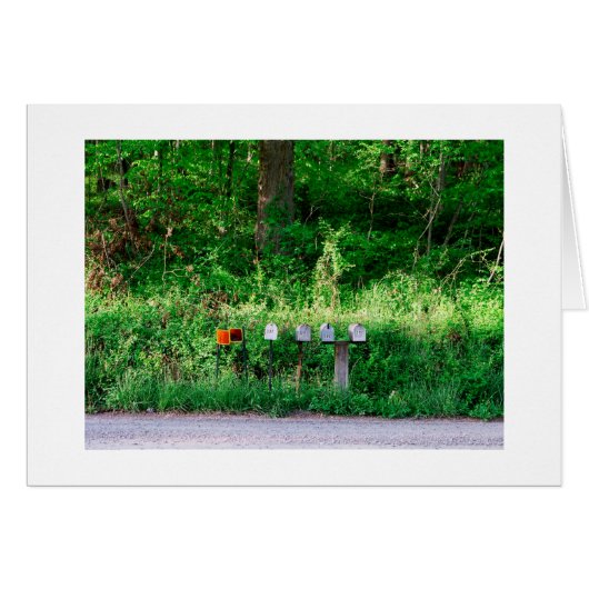 The Mailboxes Cards (Front Horizontal)