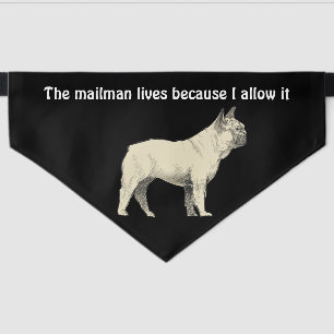 The Mailman Lives French BullDog Pet Bandana Collar