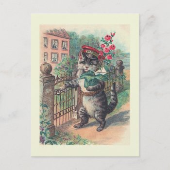 "the Mailman" Vintage Cat Postcard by PrimeVintage at Zazzle