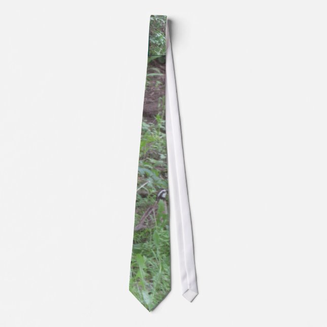 The Majestic Bob White Quail Neck Tie (Front)
