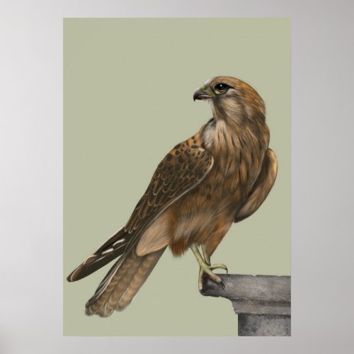 The Majestic Falcon Poster