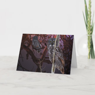 The majestic Great Gray Owl Card
