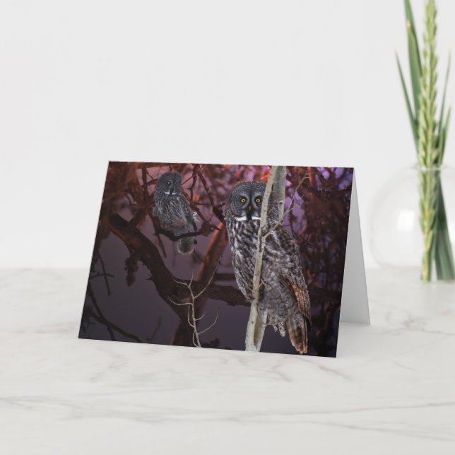 The majestic Great Gray Owl Card (Front)