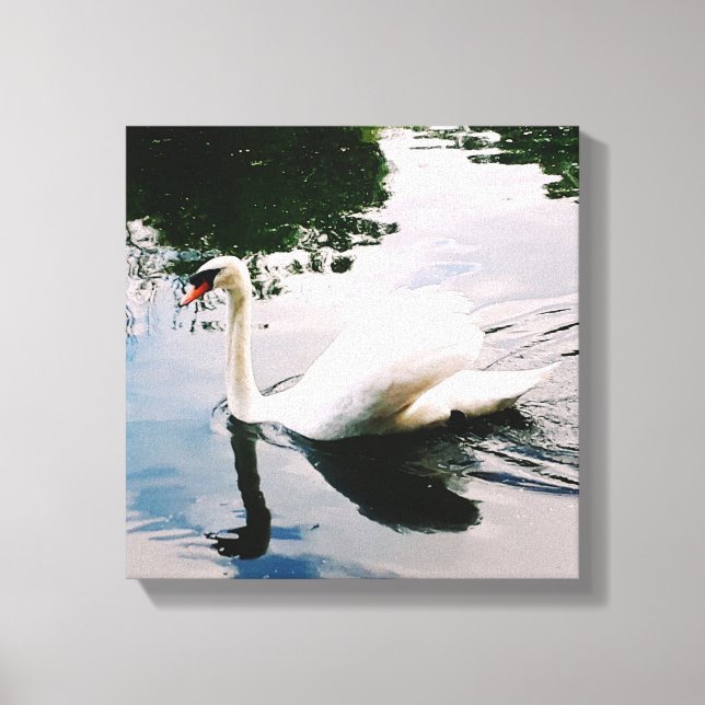 THE MAJESTIC SWAN CANVAS PRINT (Front)