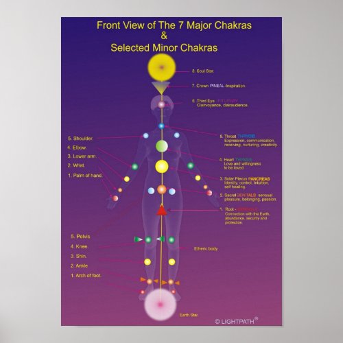 The Major and Minor Chakras Poster