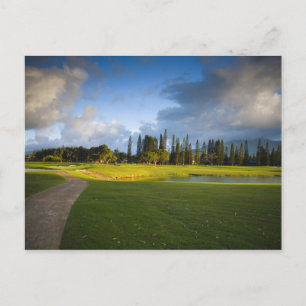 The Makai golf course in Princeville Postcard