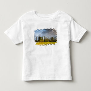 The Makai golf course in Princeville Toddler T-shirt