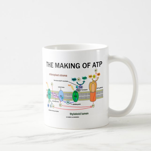 The Making Of ATP (Light-Dependent Photosynthesis) Coffee Mug (Right)