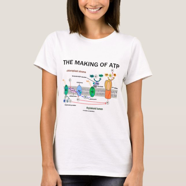 The Making Of ATP (Light-Dependent Photosynthesis) T-Shirt (Front)