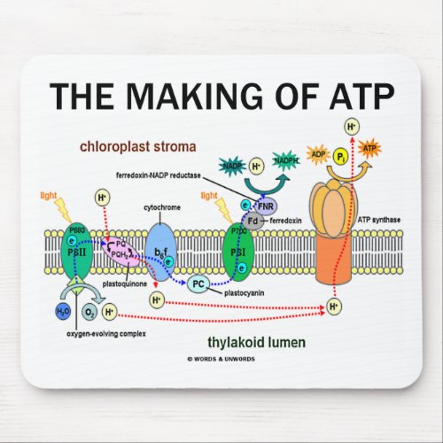 The Making Of ATP Photosynthetic Attitude Mouse Pad