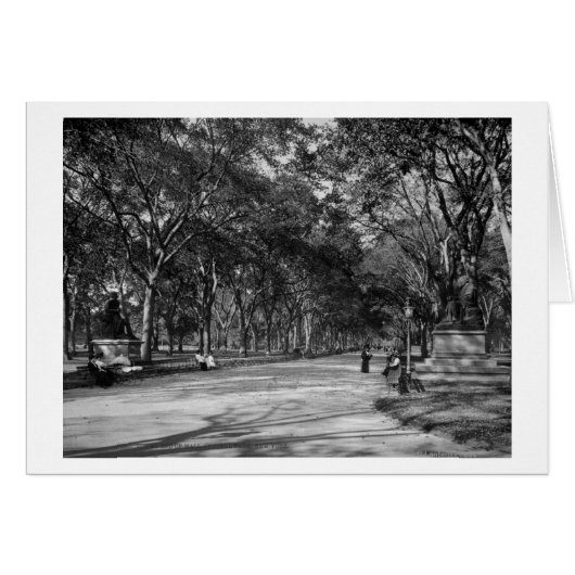 The Mall in Central Park in New York City (Front Horizontal)