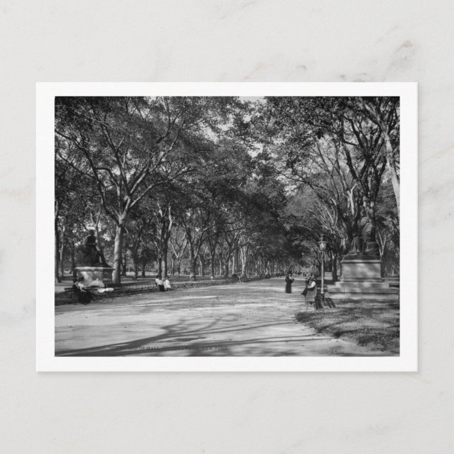 The Mall in Central Park in New York City Postcard (Front)