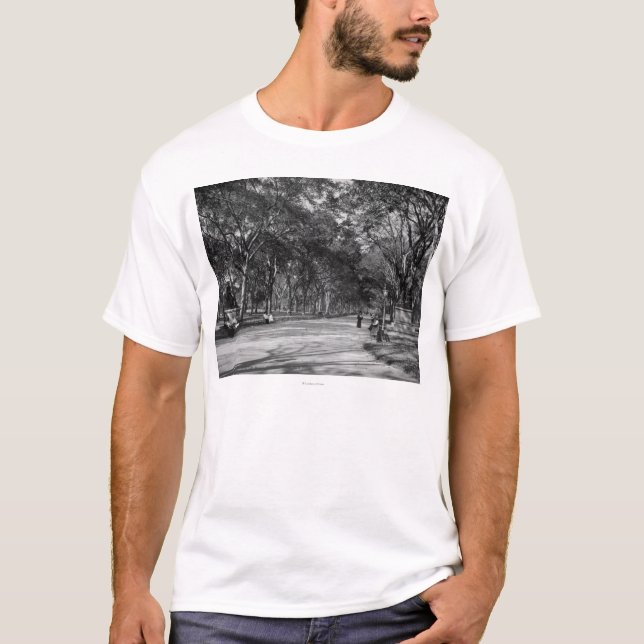 The Mall in Central Park in New York City T-Shirt (Front)