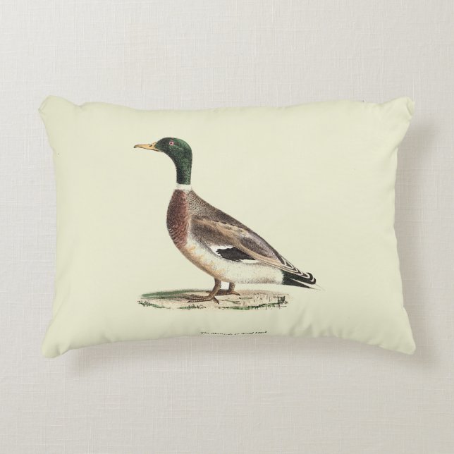 The Mallard or Wild Duck (Anas platyrhynchos) Accent Pillow (Front)