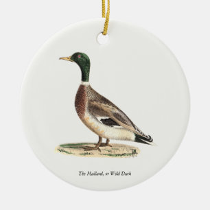 The Mallard or Wild Duck (Anas platyrhynchos) Ceramic Ornament