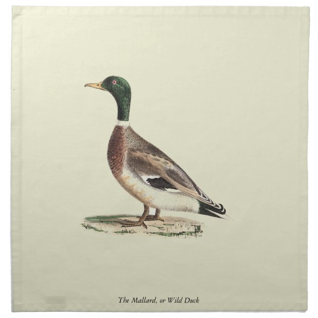 The Mallard or Wild Duck (Anas platyrhynchos) Cloth Napkin (Front)