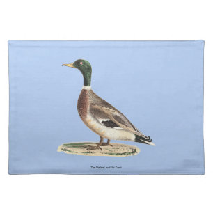 The Mallard or Wild Duck (Anas platyrhynchos) Cloth Placemat