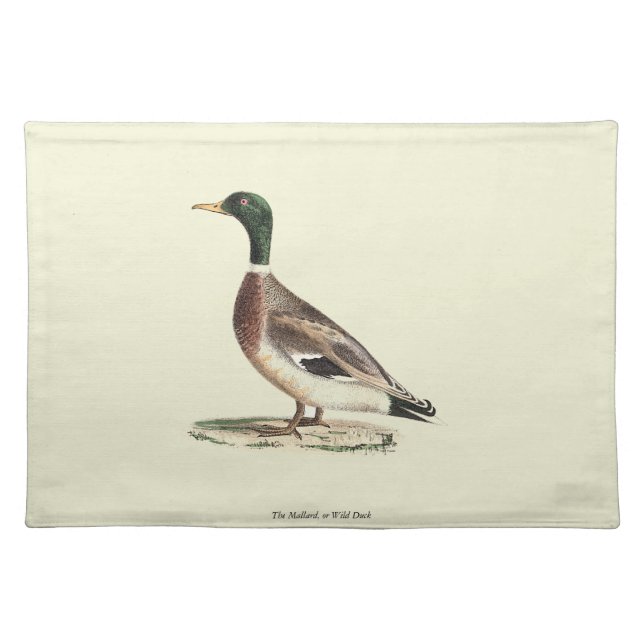 The Mallard or Wild Duck (Anas platyrhynchos) Cloth Placemat (Front)