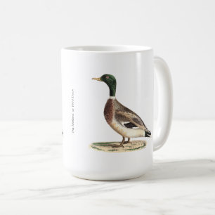 The Mallard or Wild Duck (Anas platyrhynchos) Coffee Mug