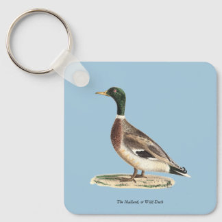 The Mallard or Wild Duck (Anas platyrhynchos) Keychain