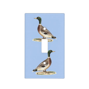 The Mallard or Wild Duck (Anas platyrhynchos) Light Switch Cover