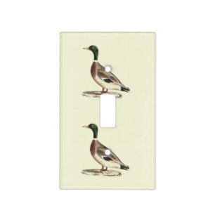 The Mallard or Wild Duck (Anas platyrhynchos) Light Switch Cover