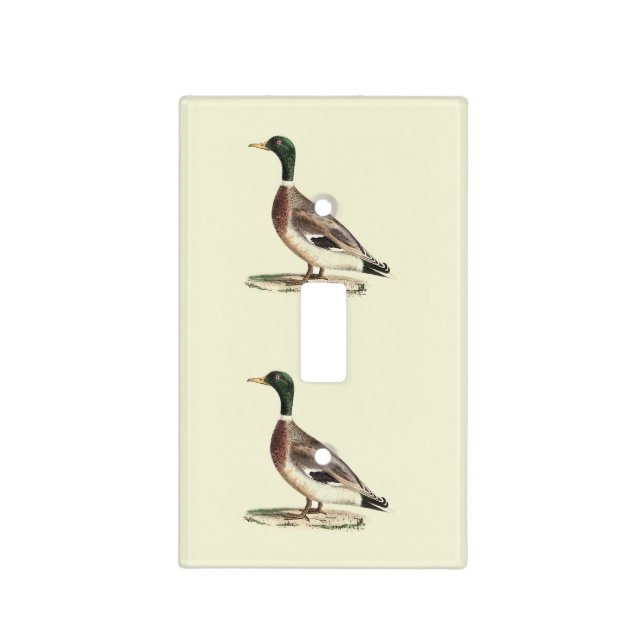 The Mallard or Wild Duck (Anas platyrhynchos) Light Switch Cover (Front)