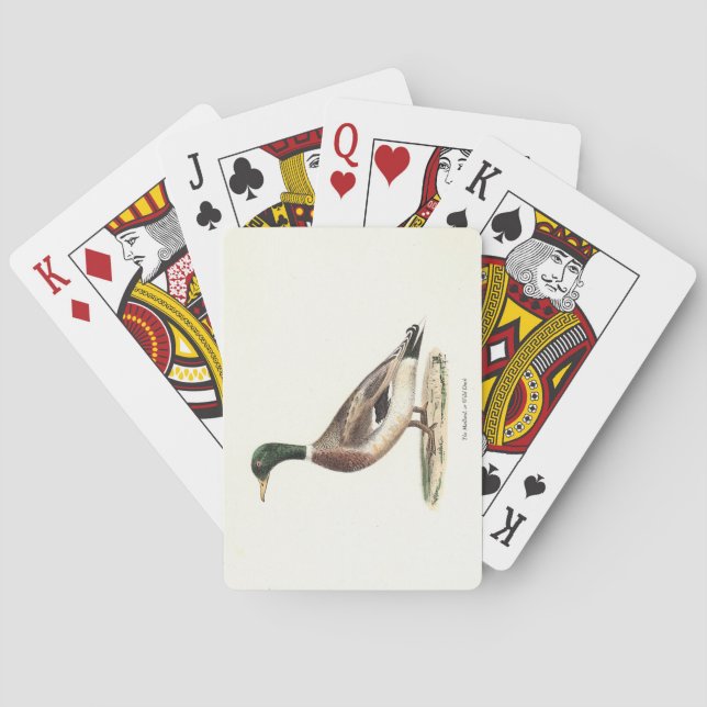 The Mallard or Wild Duck (Anas platyrhynchos) Poker Cards (Back)