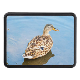 The mallard or wild duck hitch cover