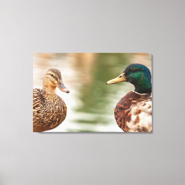 The Mallards  Canvas Print (Front)
