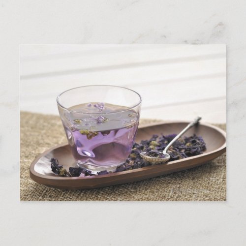 The mallow herb tea which a glass cup contains postcard