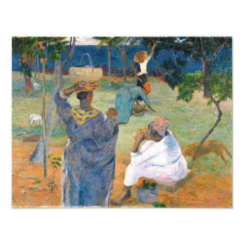 The Mango Trees Martinique 1887  by Paul Gauguin Photo Print