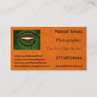 The Manuel Seixas Business Card