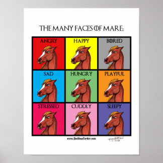 The Many Faces of Mare Poster