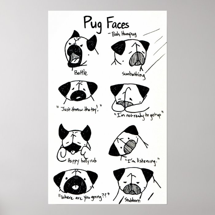 The Many Faces of Pug II Poster