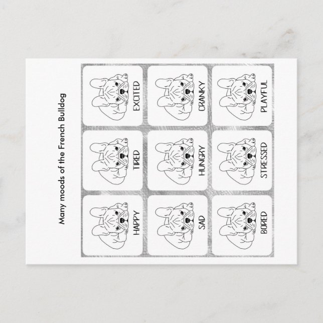 The many moods of a French Bulldog Postcard (Front)