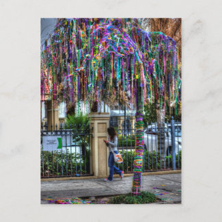 The Mardi Gras Bead Tree Postcard