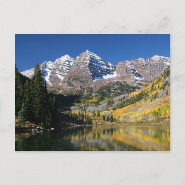 The Maroon Bells in the fall... Postcard (Front)