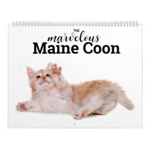 The Marvelous Maine Coon Calender Calendar