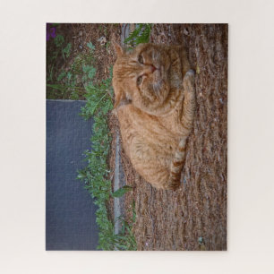 The Master of the Sunny Path Jigsaw Puzzle